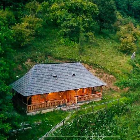 Casuta Bunicilor Villa Viseu de Jos Exteriör bild