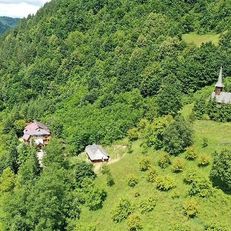 Casuta Bunicilor Villa Viseu de Jos Exteriör bild