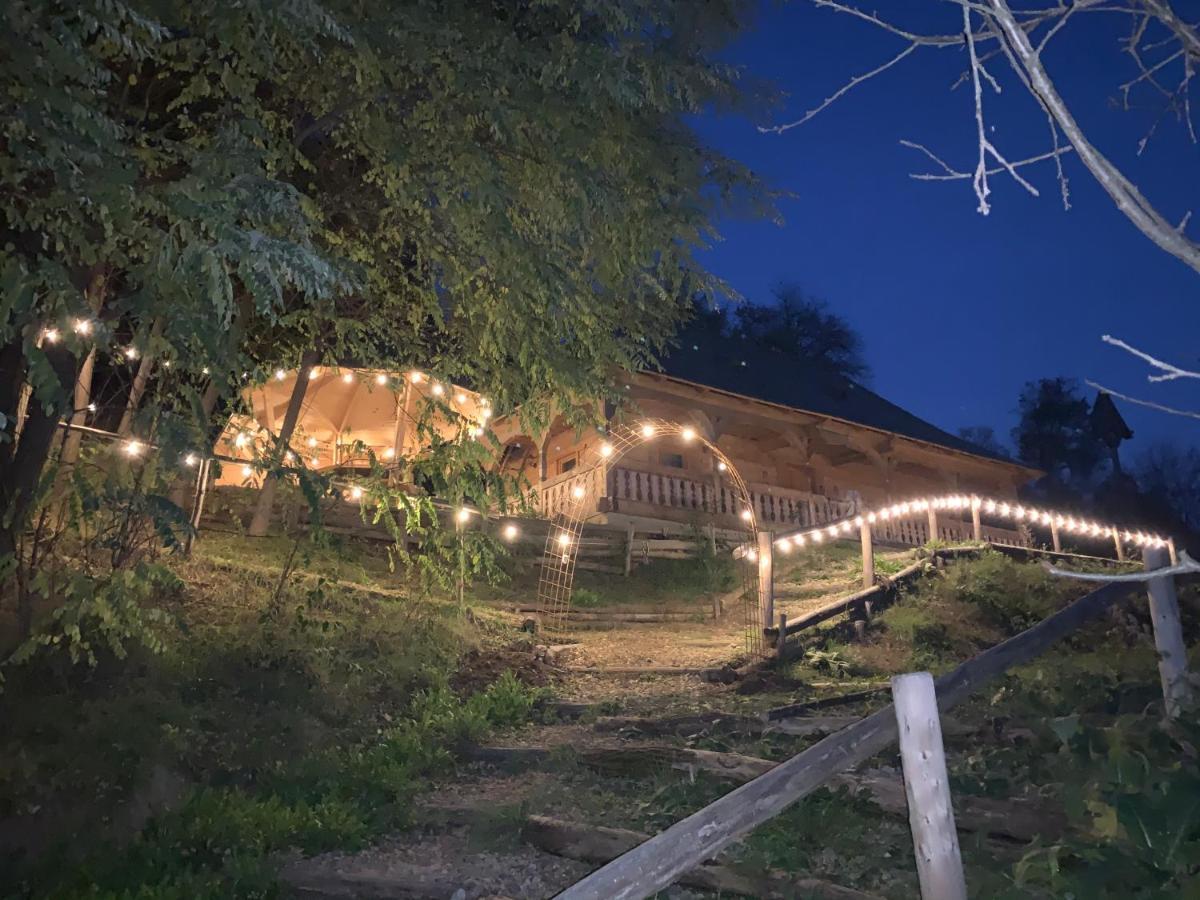 Casuta Bunicilor Villa Viseu de Jos Exteriör bild