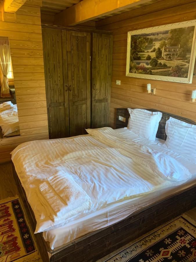Casuta Bunicilor Villa Viseu de Jos Exteriör bild