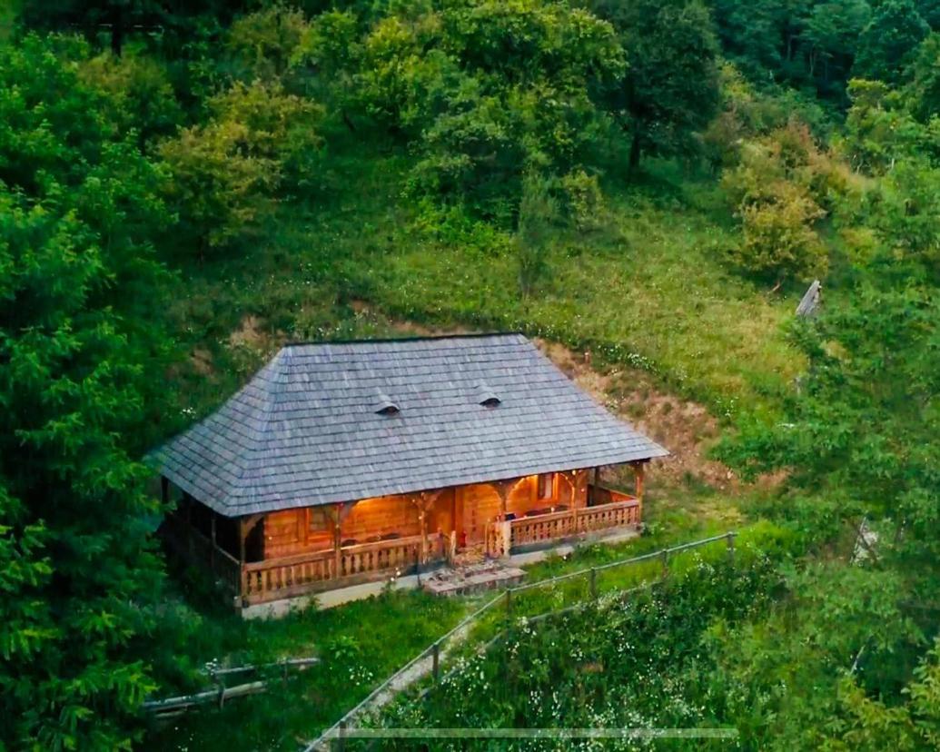 Casuta Bunicilor Villa Viseu de Jos Exteriör bild