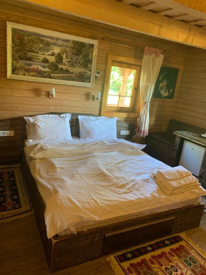 Casuta Bunicilor Villa Viseu de Jos Exteriör bild