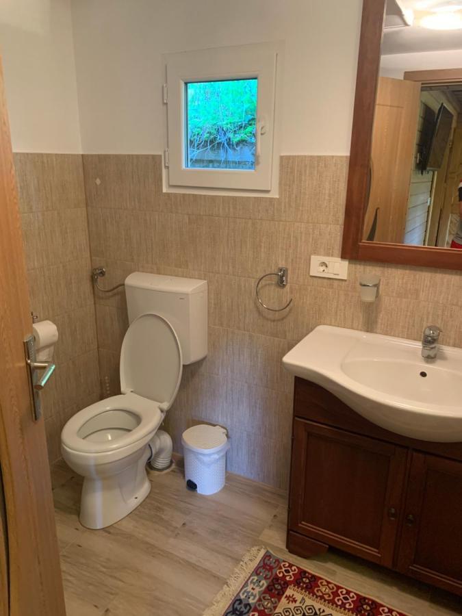 Casuta Bunicilor Villa Viseu de Jos Exteriör bild